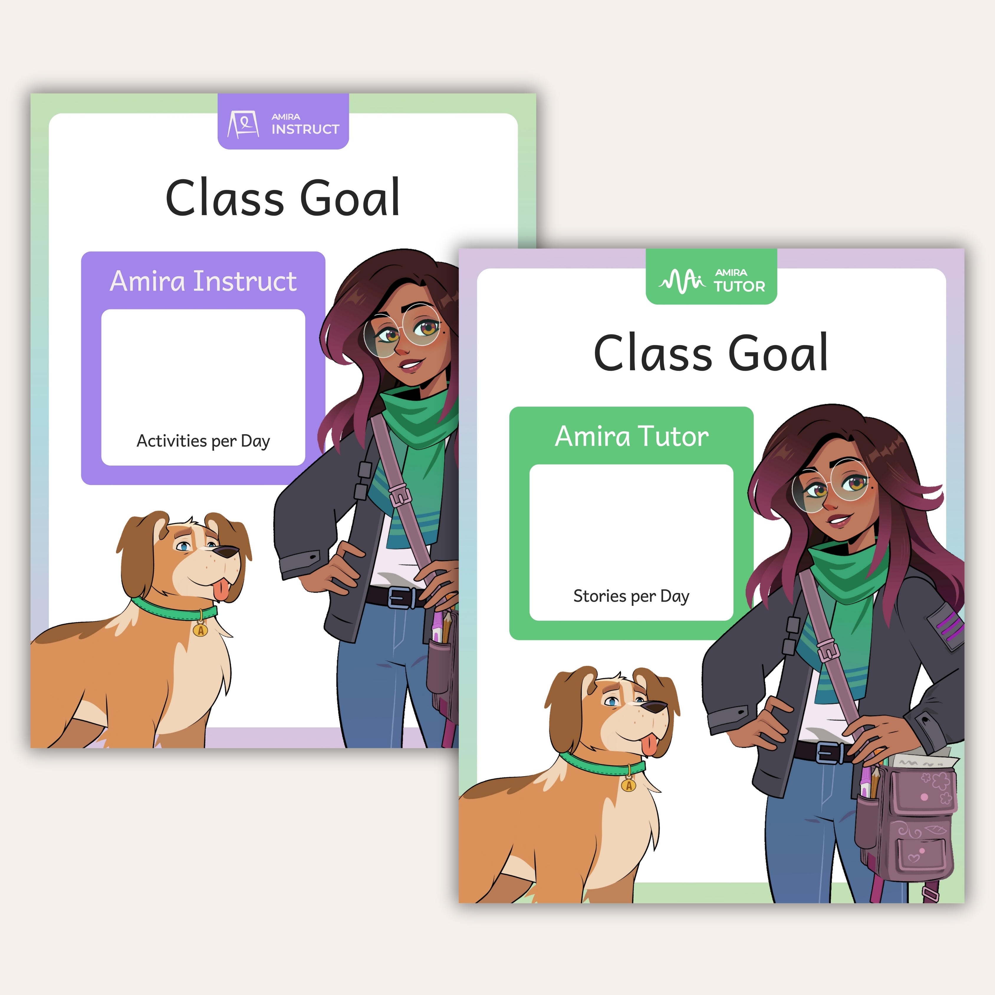 Class Goal Poster
