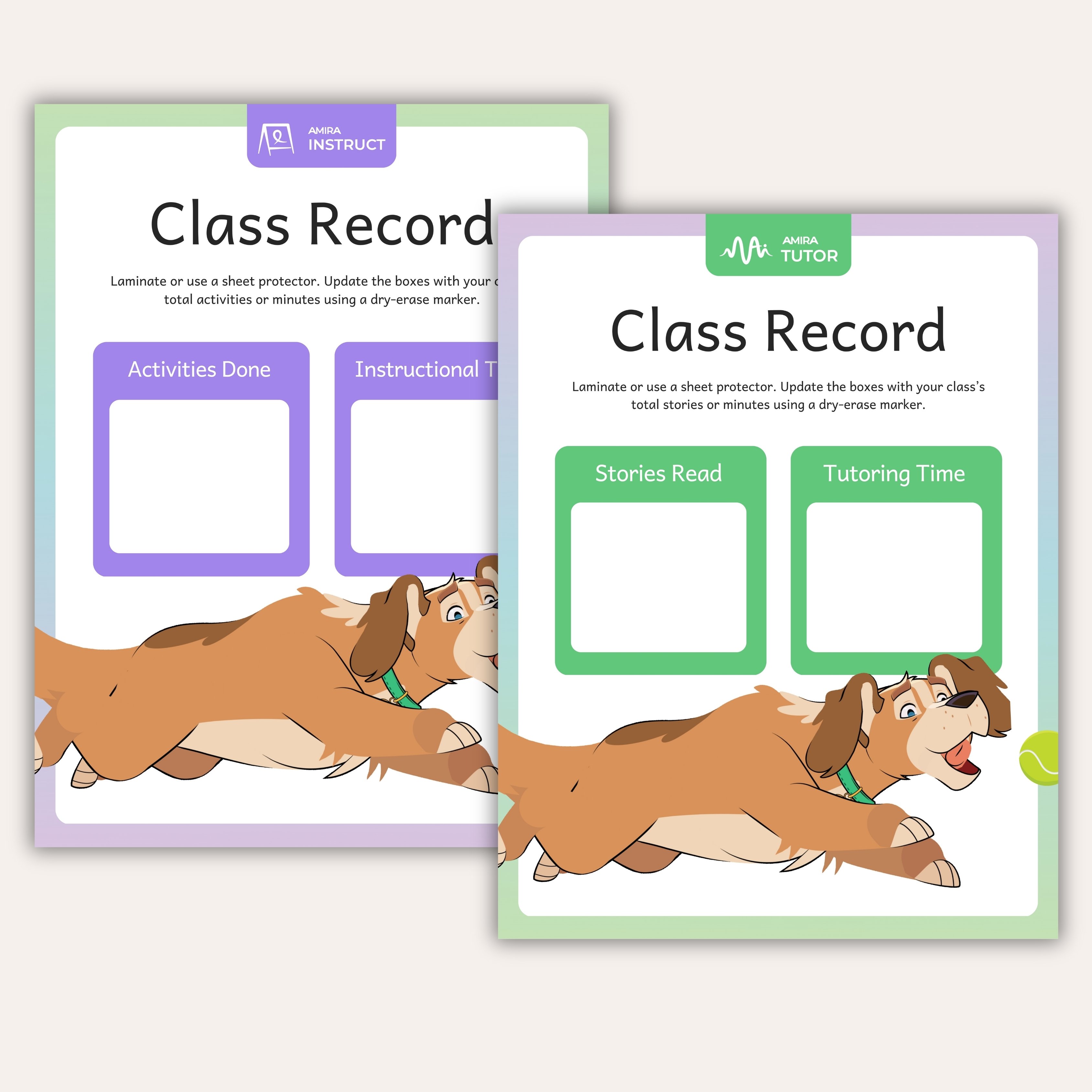 Class Record-1
